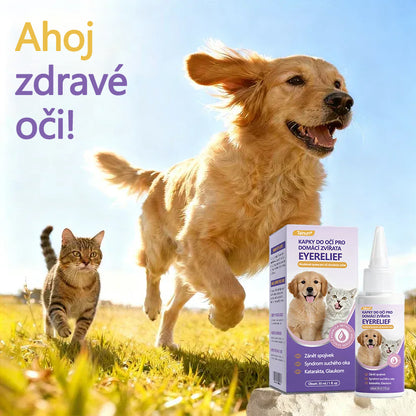 👀 Tainun® EyeRelief oční kapky pro mazlíčky ✅ Schváleno v CE | Rychlá úleva při zánětu spojivek, suchých očích, šedém zákalu a keratitidě 🐶🐱