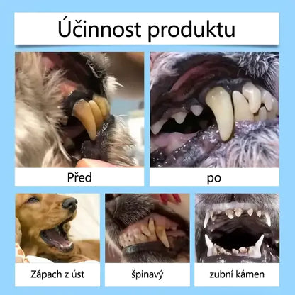 [🇨🇿 Oficiální obchod] 𝐓𝐚𝐢𝐧𝐮𝐧® Orální tekutina pro podporu zdraví zubů a trávení u zvířat – svěží dech, odstranění zubního kamene a podpora regenerace dásní a stabilizace zubů (pro kočky a psy) – Dnes 70 % SLEVA! 🐶🐱🎁